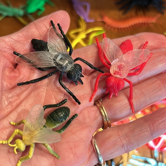 Insect Bugs Classroom Toy Lot with Metamorphosis Pieces - Picture 5 of 7